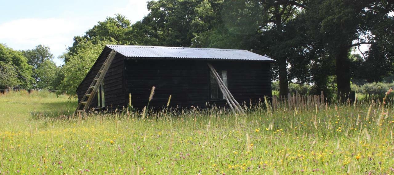The Old Apple Shed Cosy Heated Cottage In A Meadow Close To The Charming Village Of Bethersden Ashford  Exterior foto